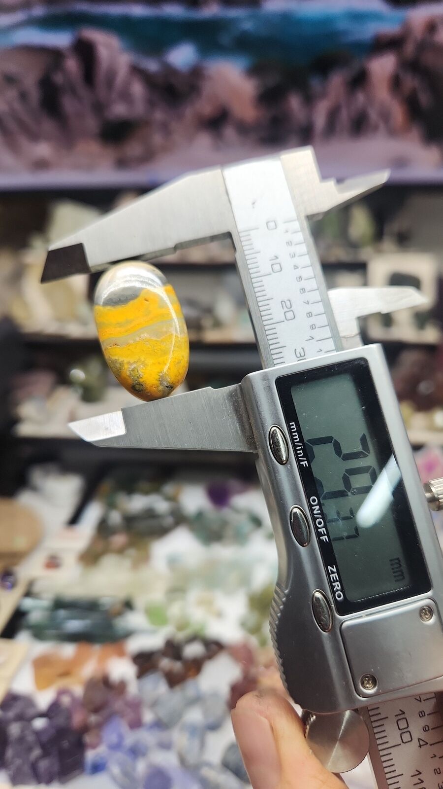 Bumblebee Jasper #201