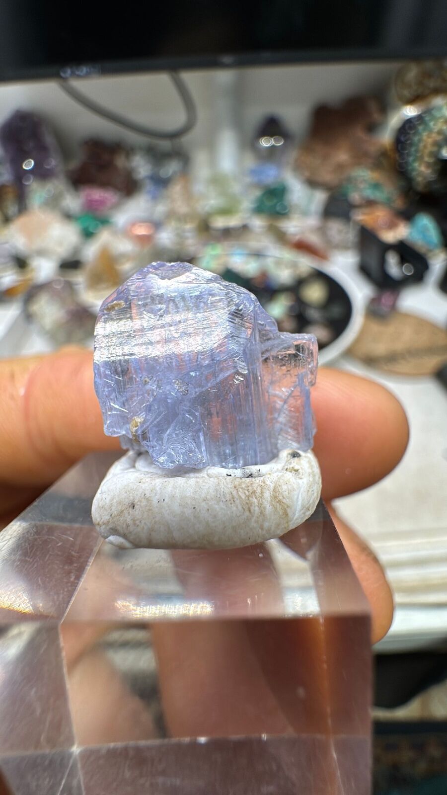 13ct Tanzanite Crystal #22