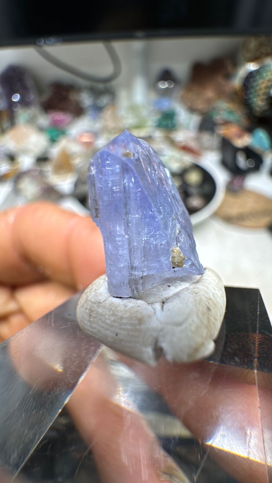 13ct Tanzanite Crystal #22