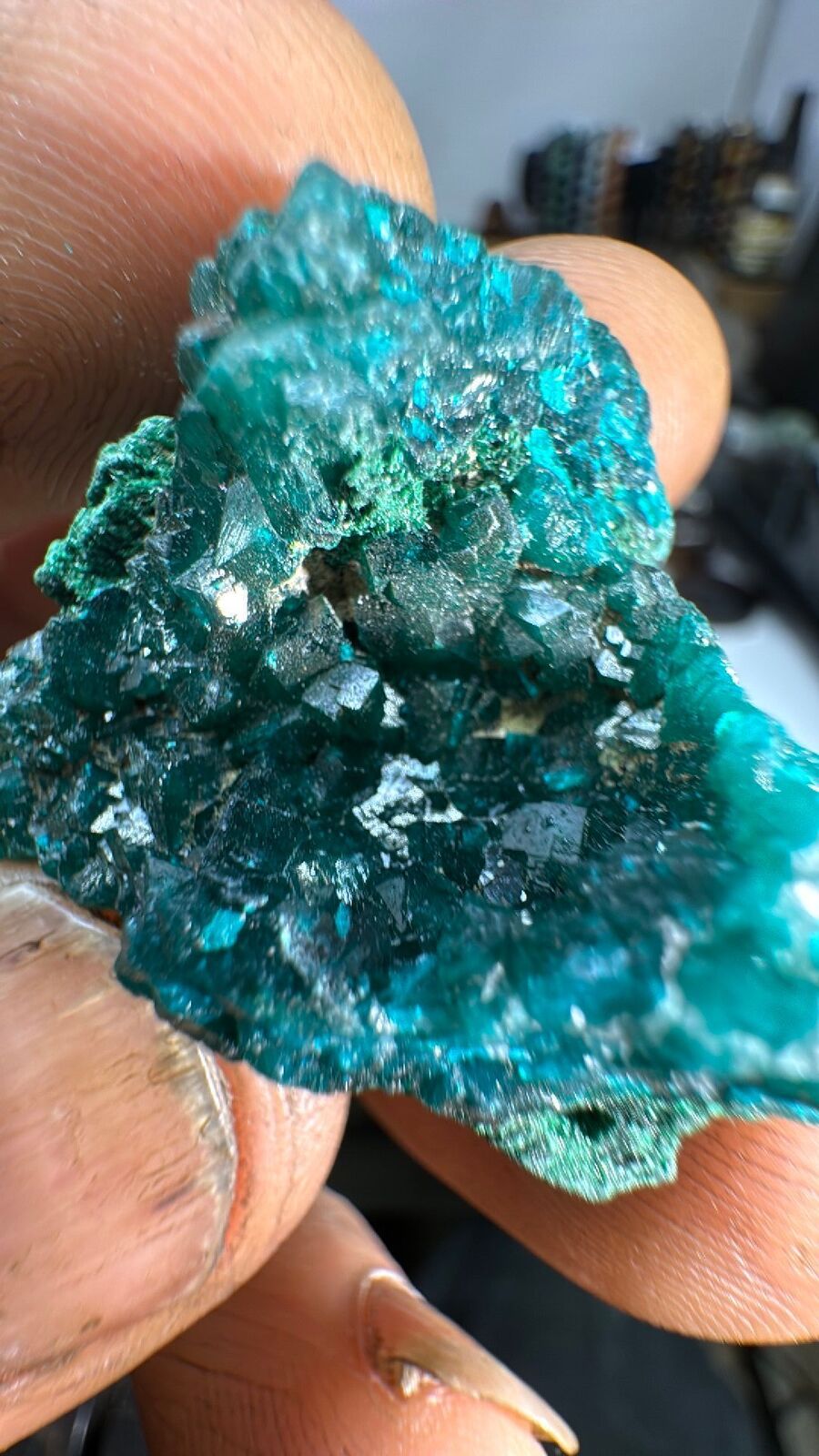 30g Dioptase Cluster Specimen #106