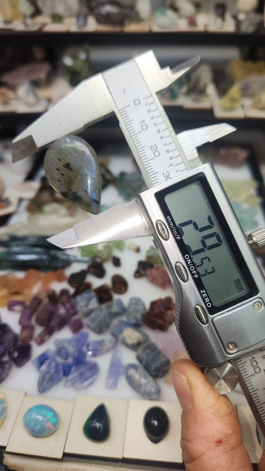 Labradorite #51