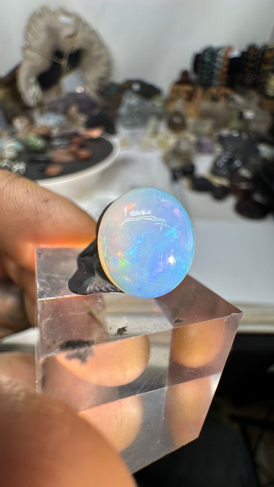 6.3ct Ethiopian Opal Cab #100