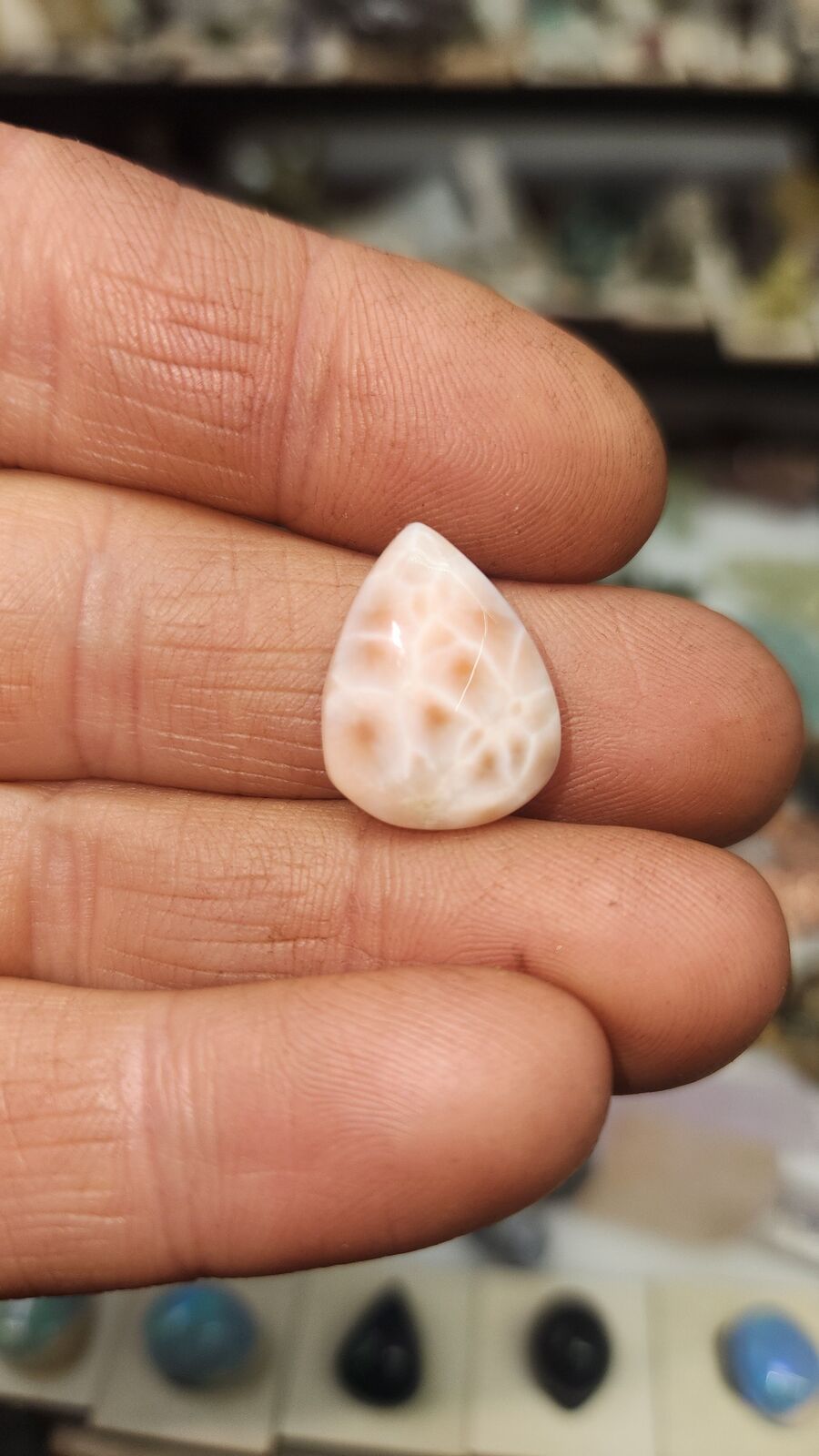 Naturalite #53