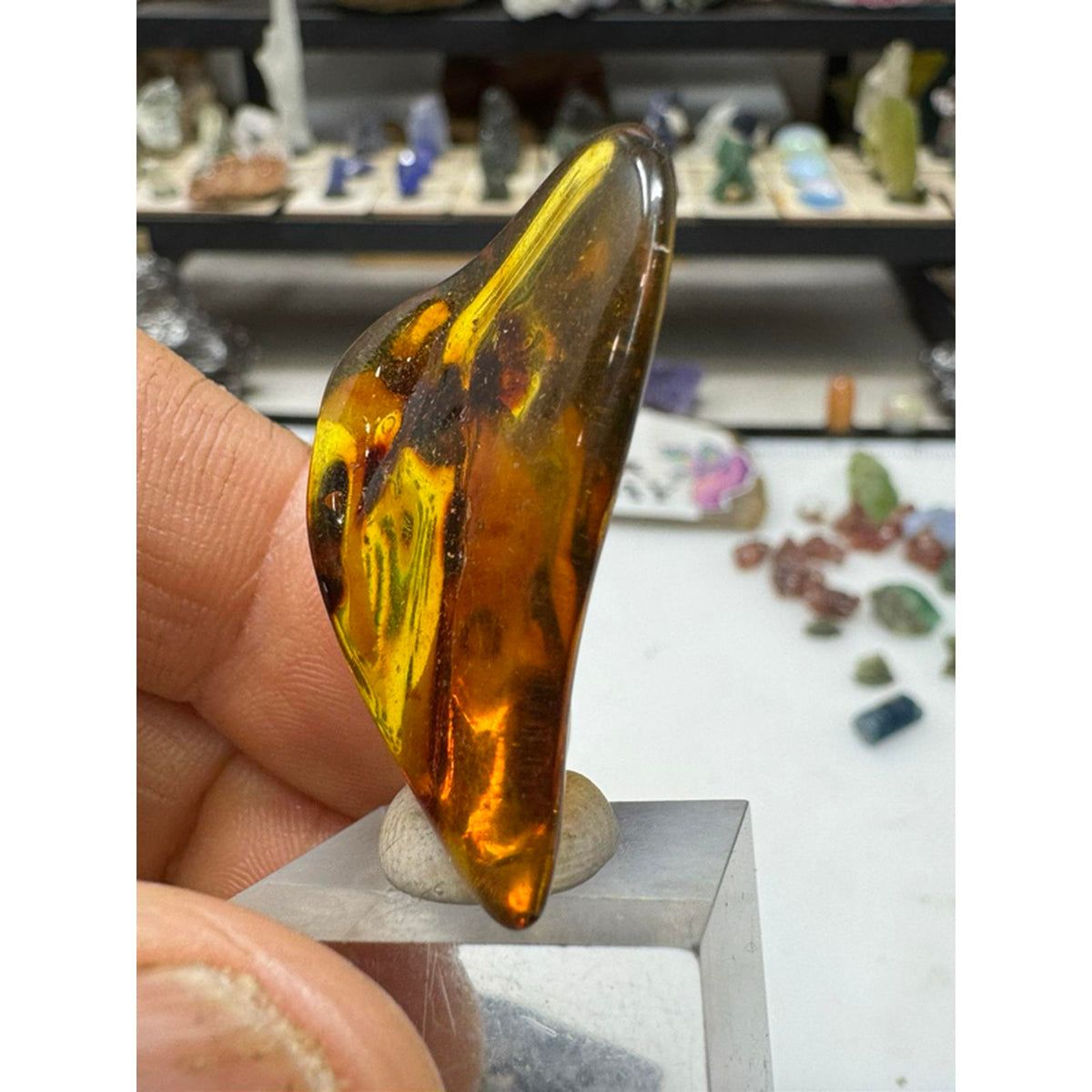 Lithuania #238 Polished Fluorescent Amber - Nice Size, Natural Color, High Quality, Ideal for Collectors and Enthusiasts