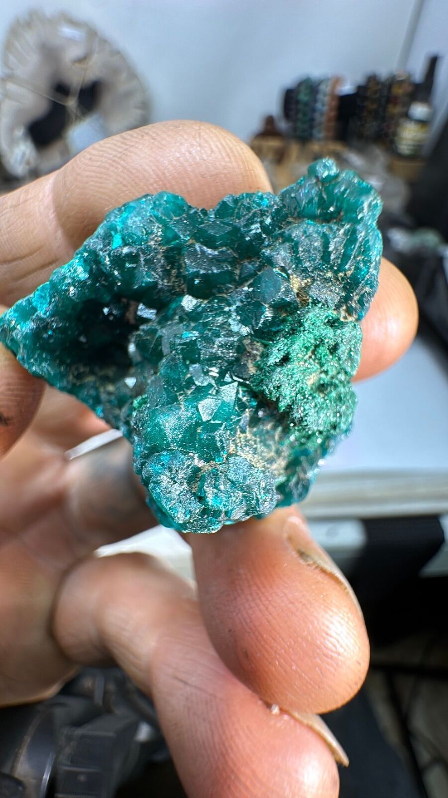 30g Dioptase Cluster Specimen #106