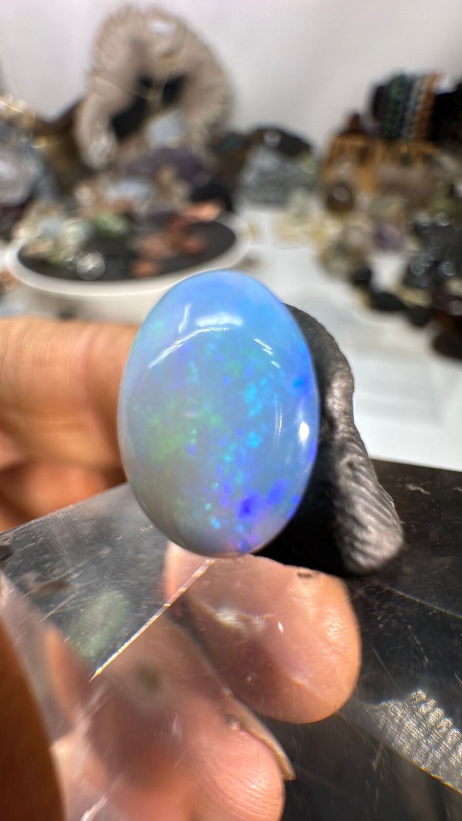 3.6ct Opal Cab #93