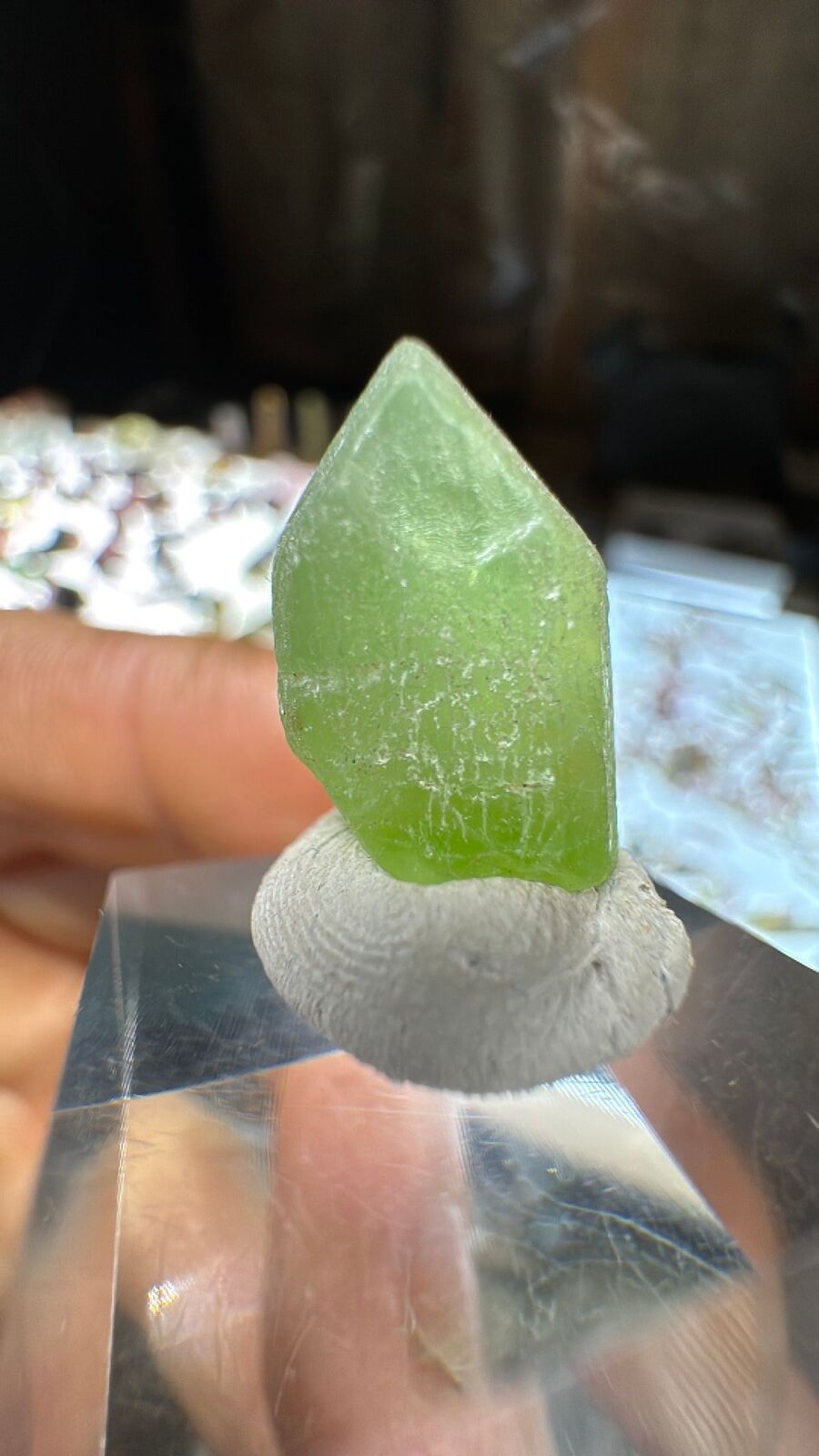 3.1g Peridot Crystal Terminated #26