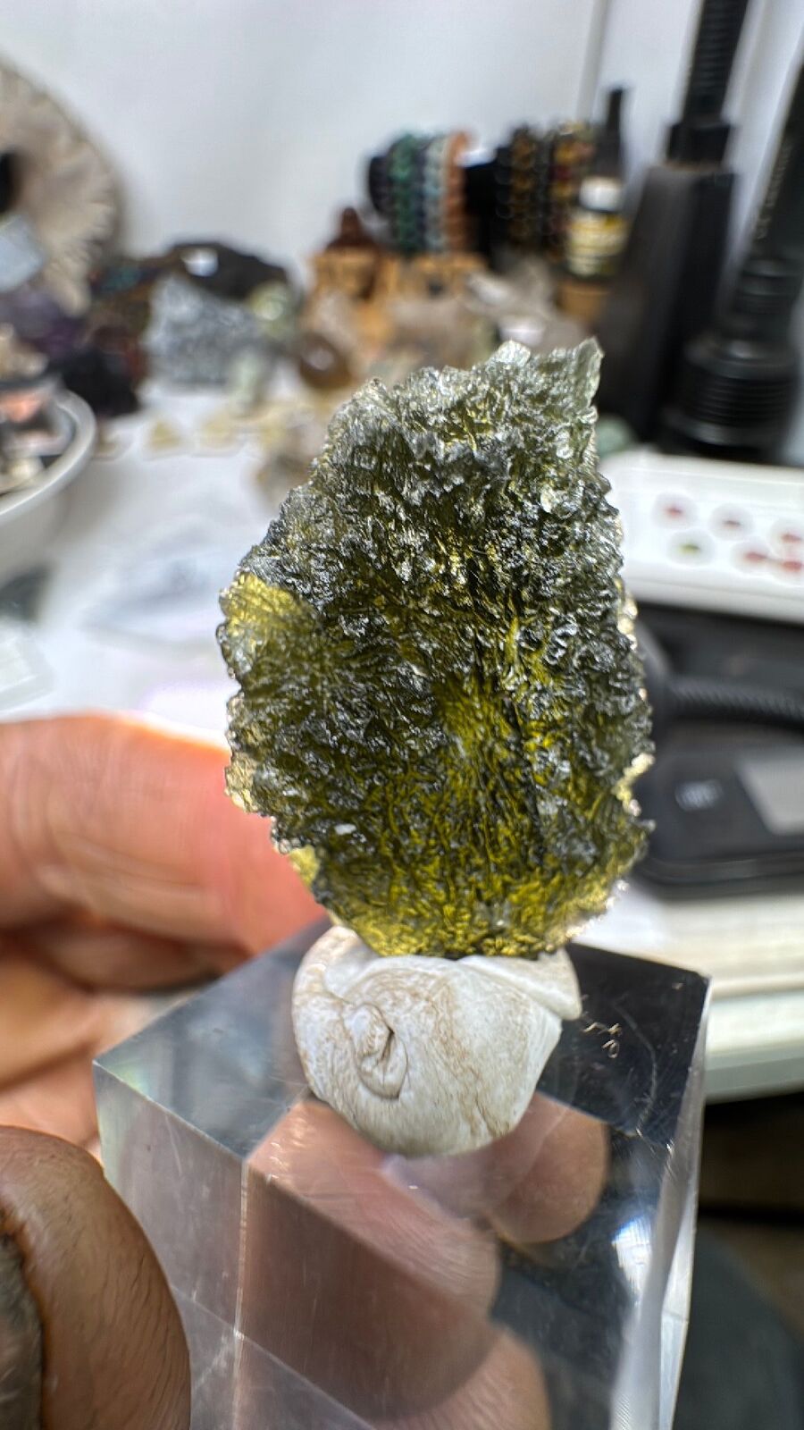 12.9g Moldavite Huge Specimen #55