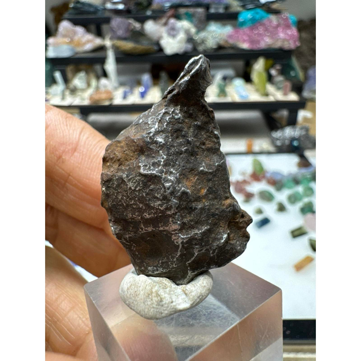 20.2 Gram Sinkhole Alin Meteorite from Russia #235 Authentic Space Rock Specimen for Collectors