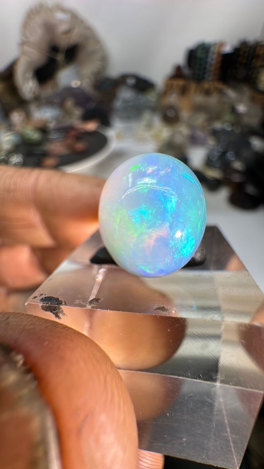 6.3ct Ethiopian Opal Cab #100