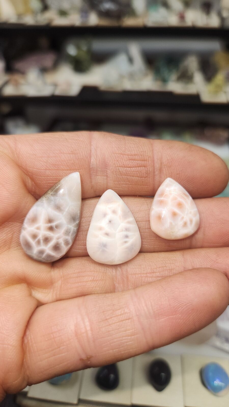 Naturalite #53