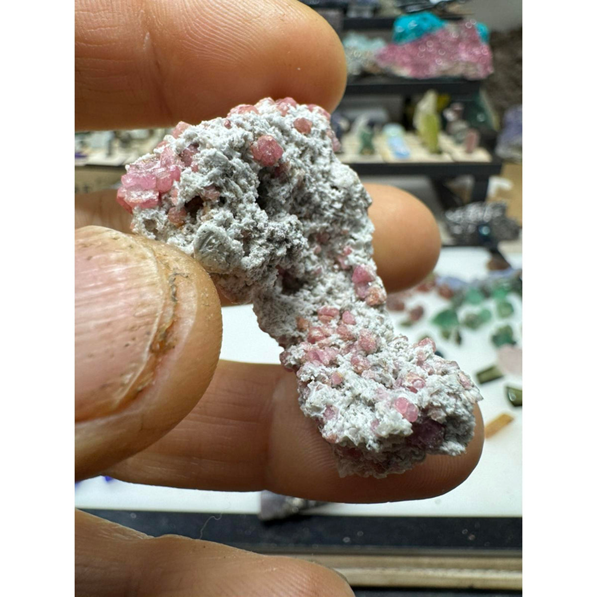 Raspberry garnet specimen #227