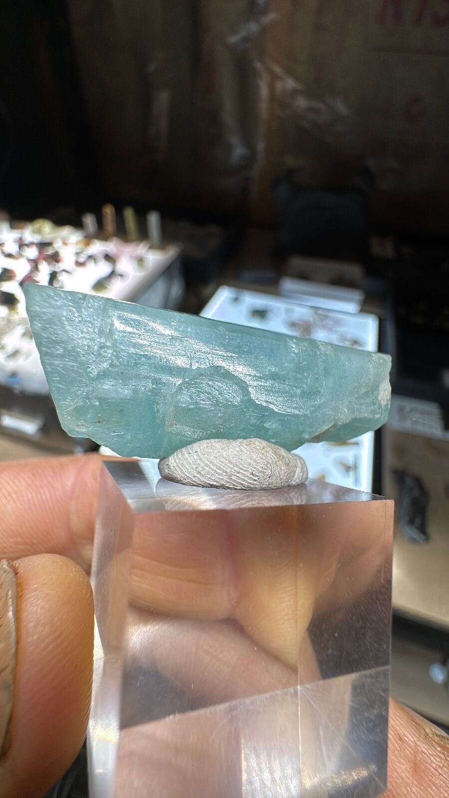 15.4g African Vanadium Aquamarine DT #21