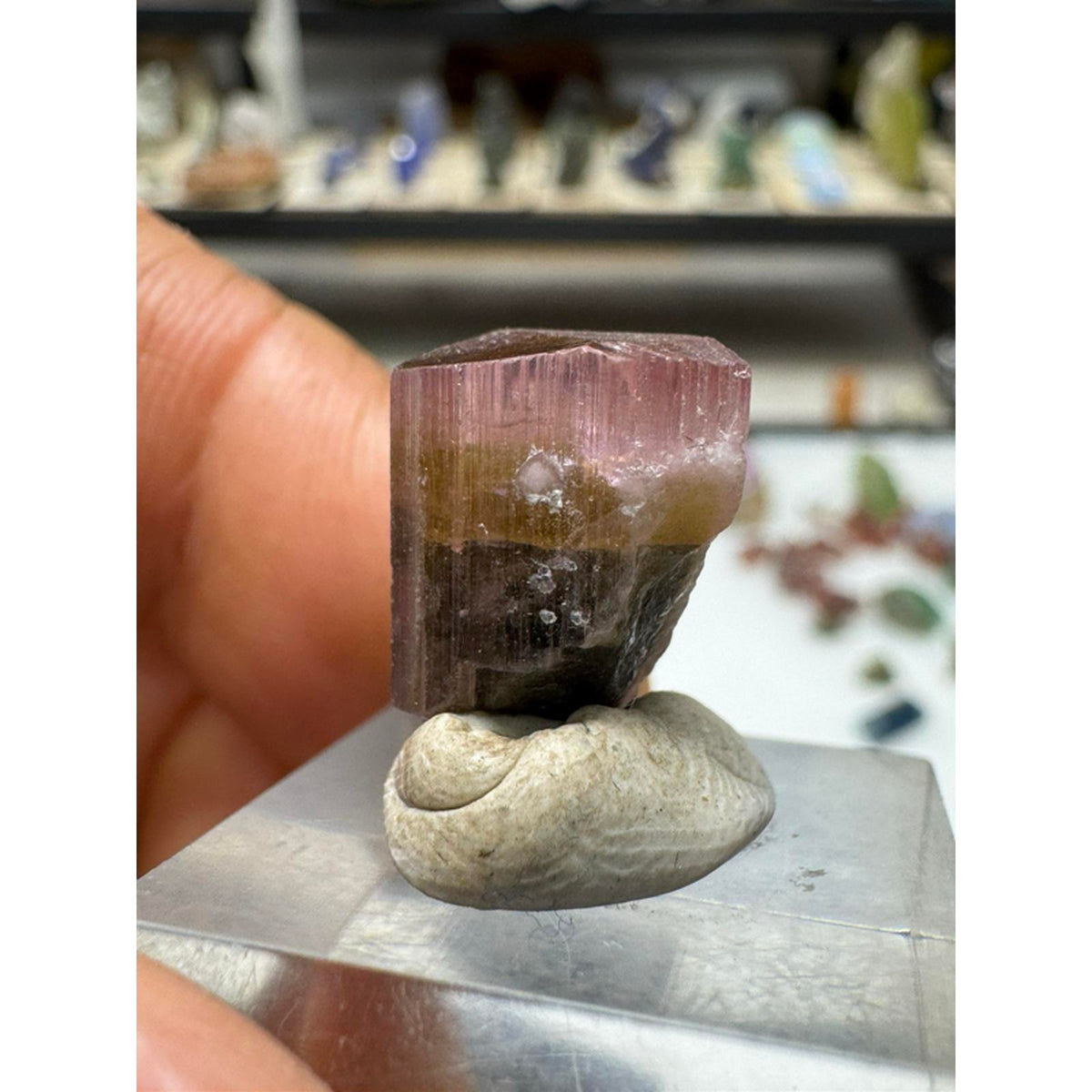 2.6 gram Stek Nala tourmaline crystal #241 from Pakistan