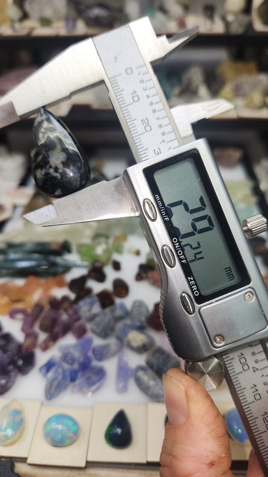 Indigo Gabbro #56