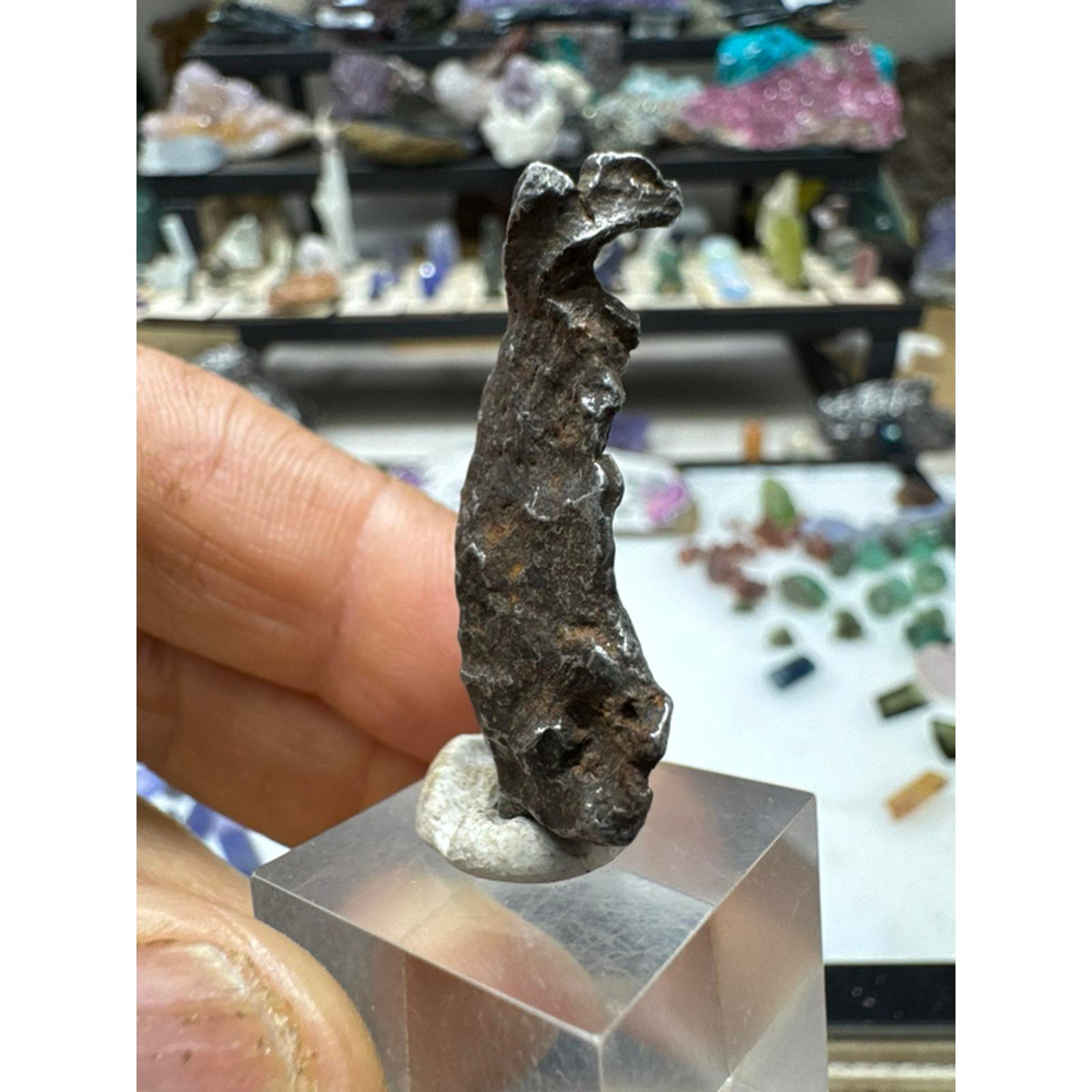20.2 Gram Sinkhole Alin Meteorite from Russia #235 Authentic Space Rock Specimen for Collectors