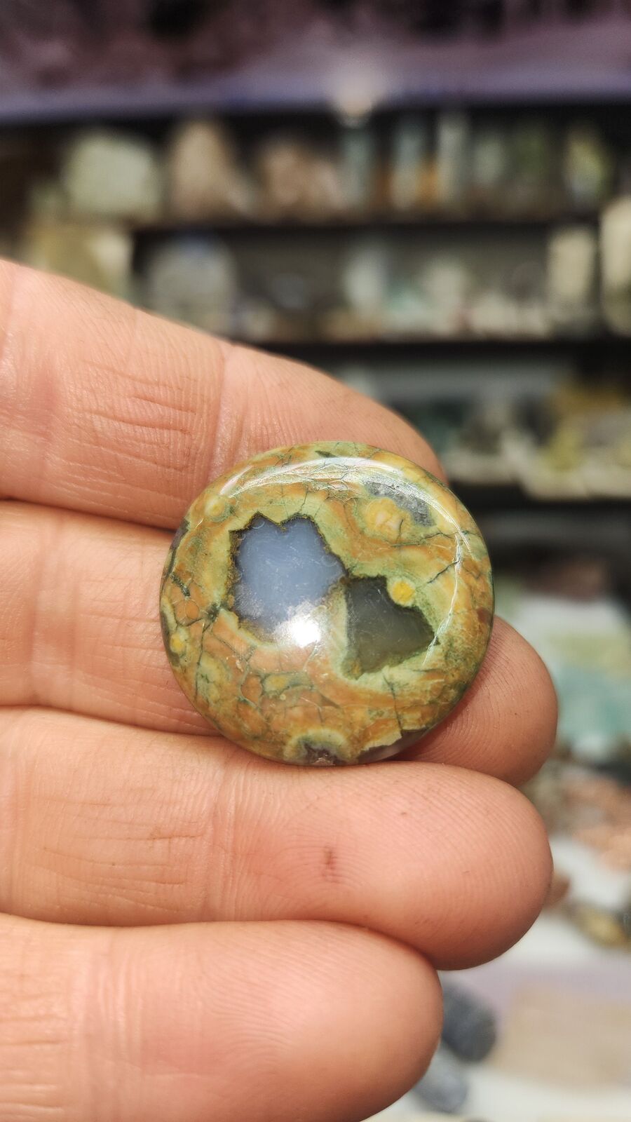 Rainforest Jasper #338
