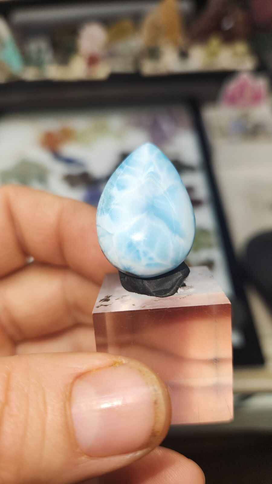 larimar #183