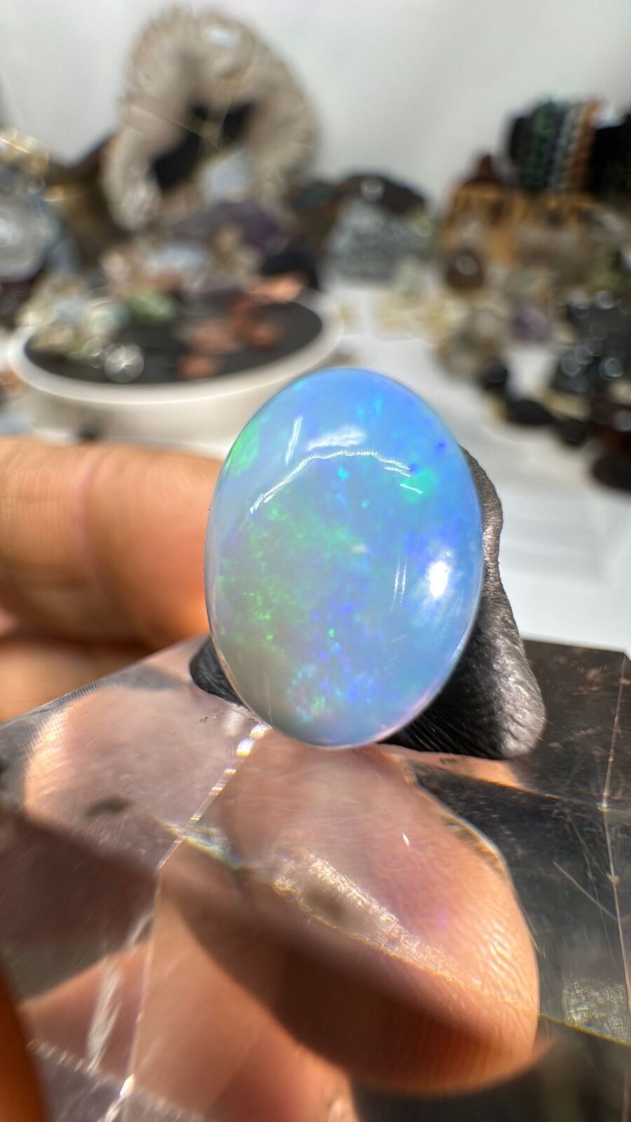 3.6ct Opal Cab #93