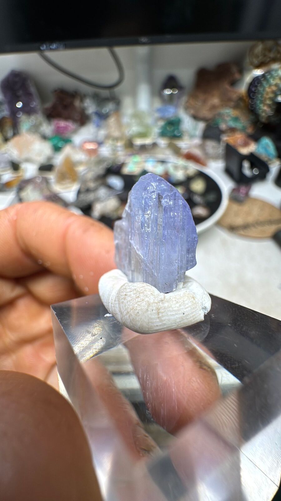 13ct Tanzanite Crystal #22