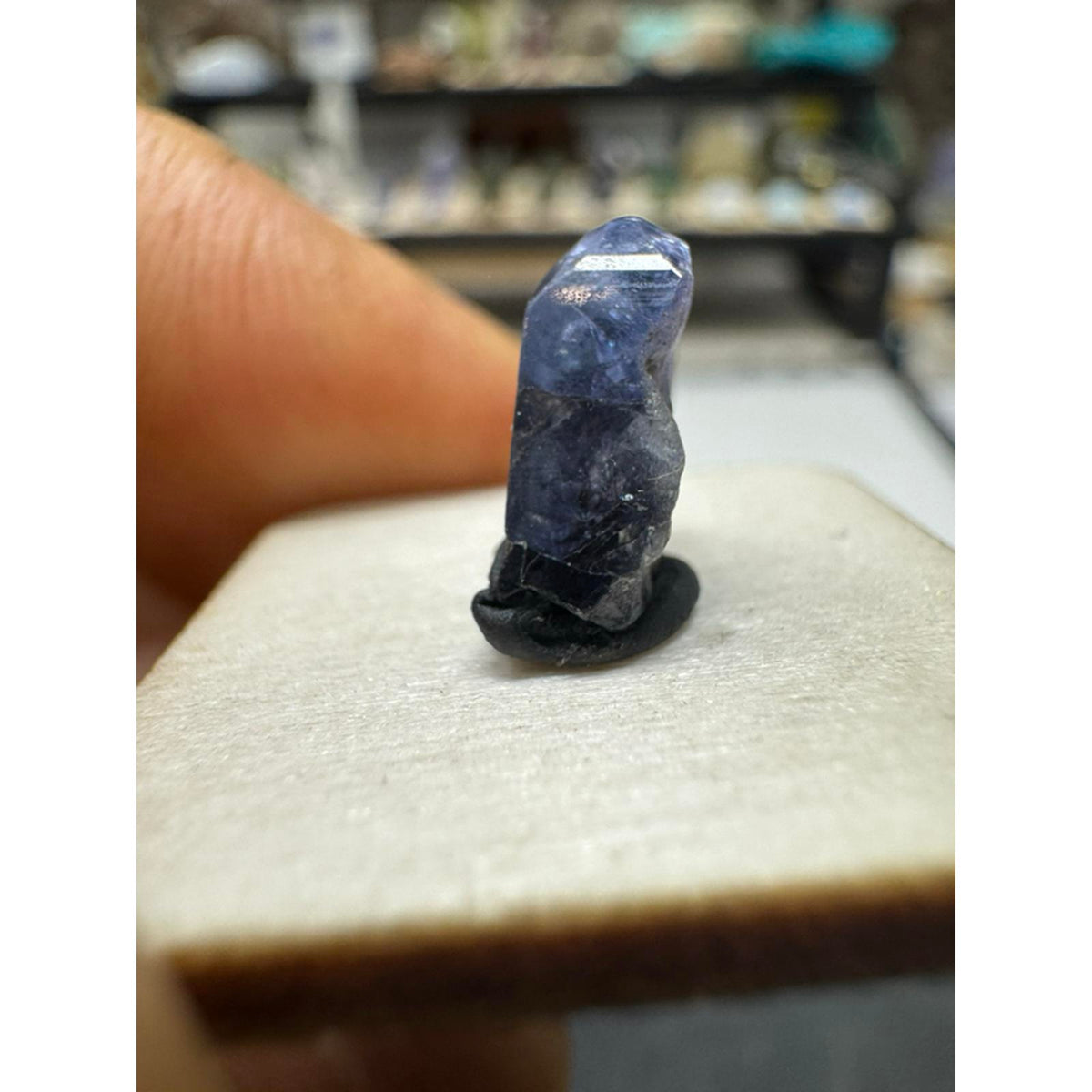 #216Tanzanite Terminated Crystal 3.8 Carats Natural Gemstone for Jewelry Making and Collecting