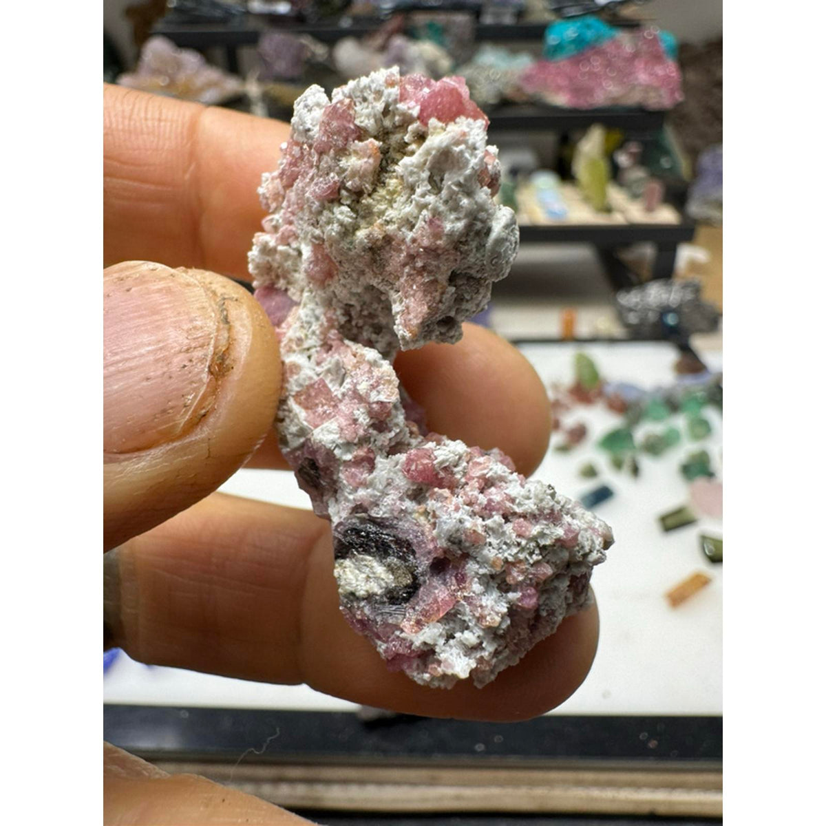 Raspberry garnet specimen #227