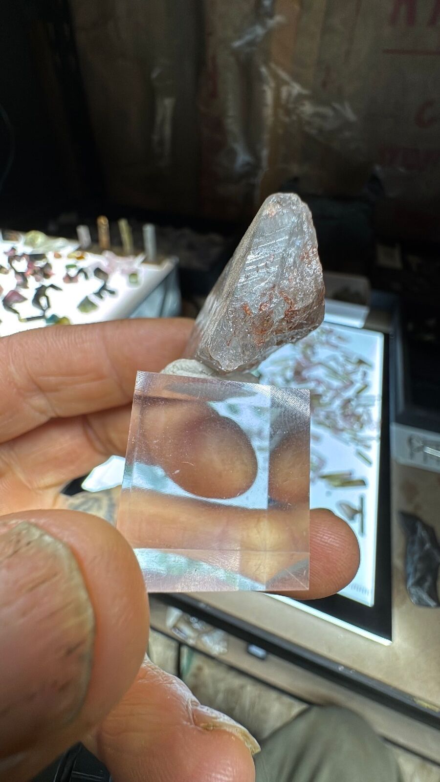 26.7g Colorado Tarryall Blue Topaz Crystal #38