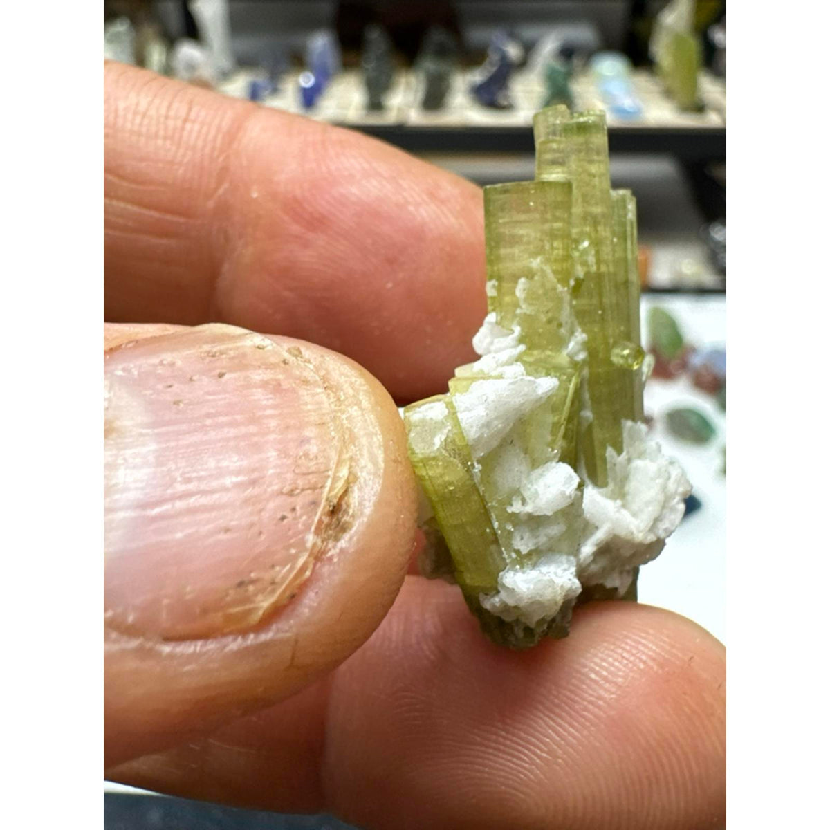 9.1 gram tourmaline terminated crystal cluster #244 from Pakistan