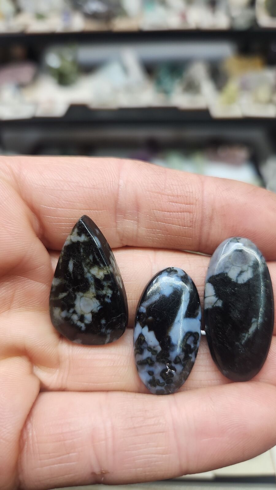 Indigo Gabbro #56