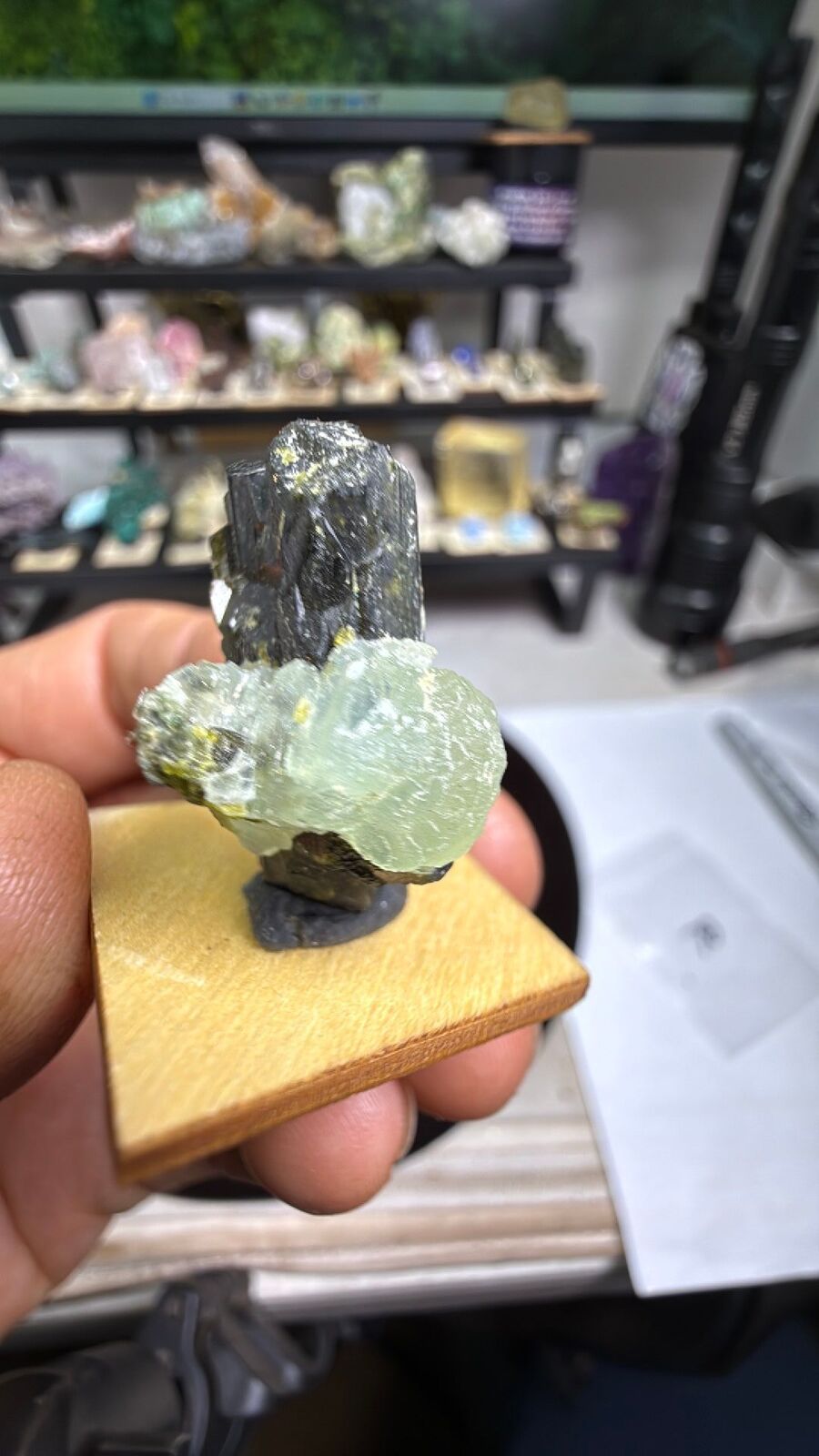 Present w/ epidote # 78