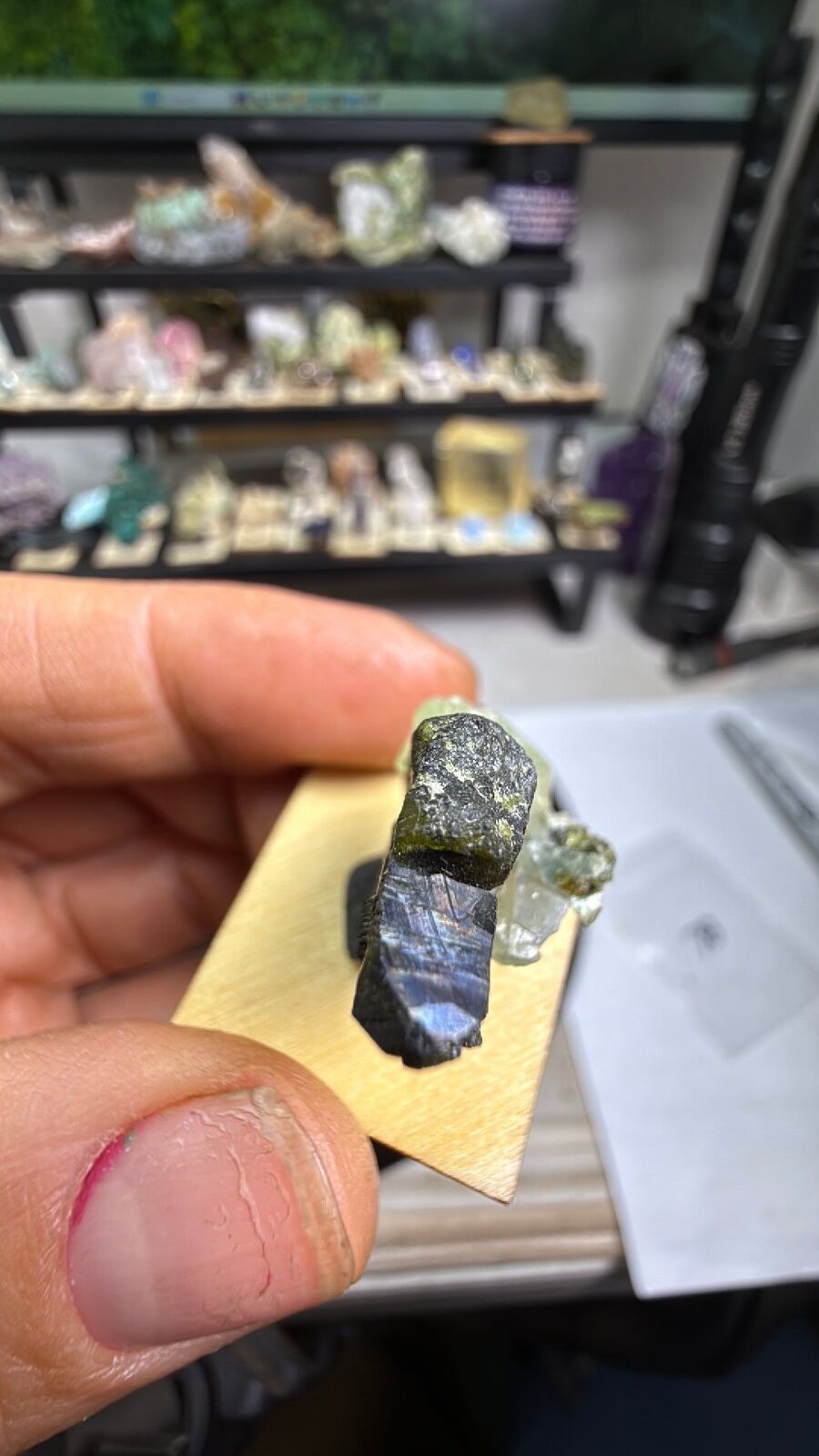 Present w/ epidote # 78