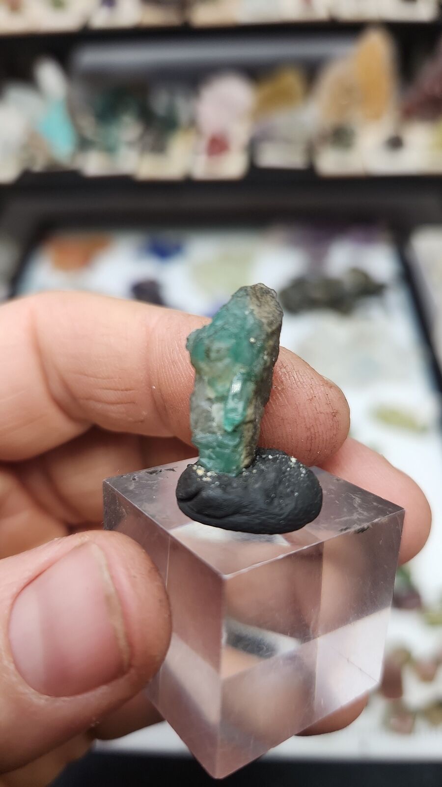 Emerald #77
