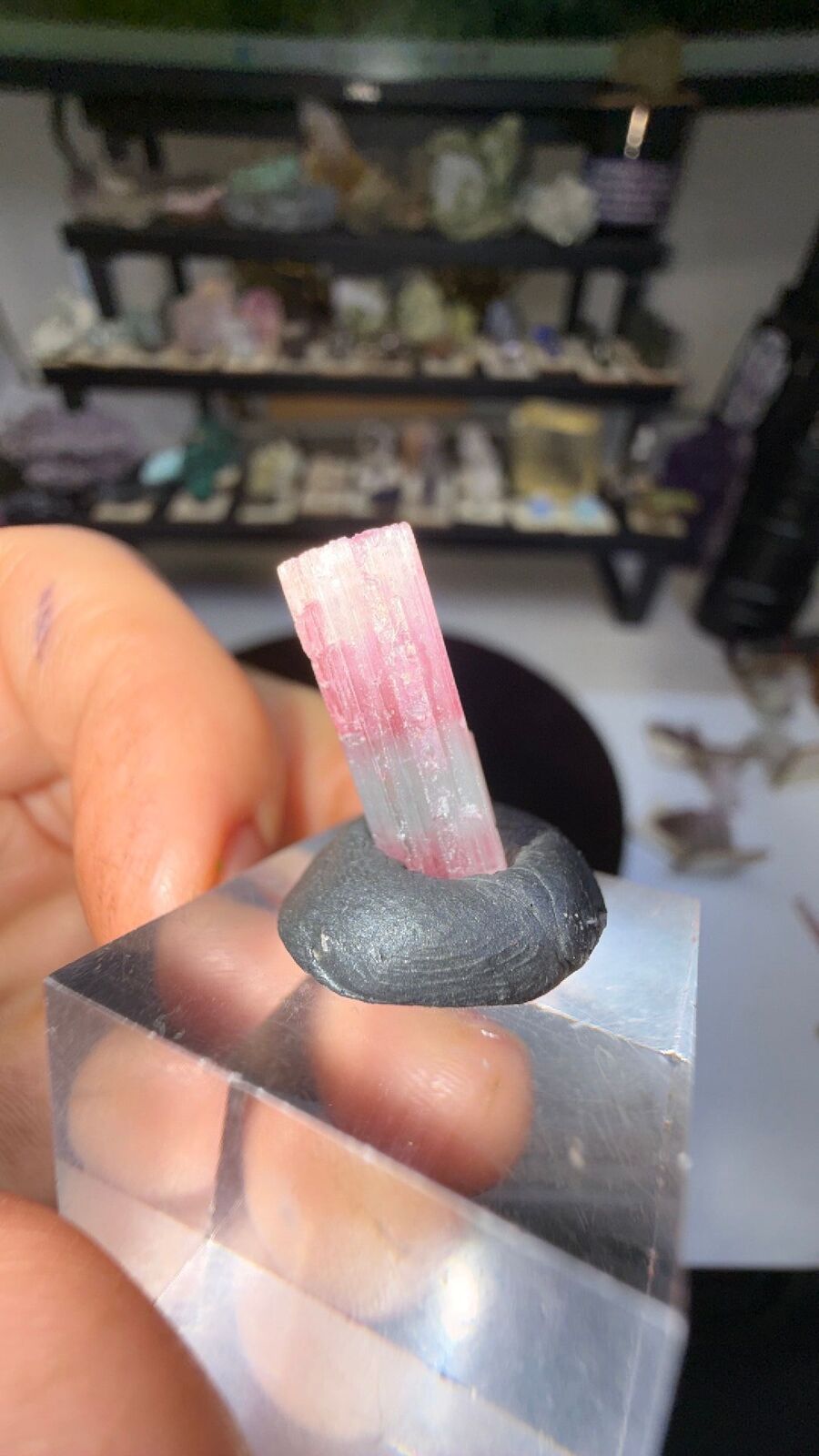 Tourmaline #181