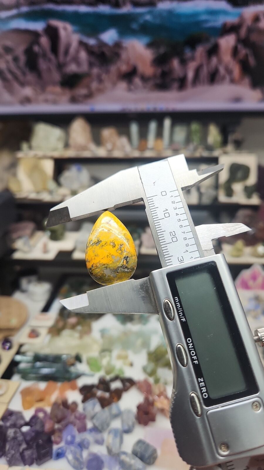 Bumblebee Jasper #201