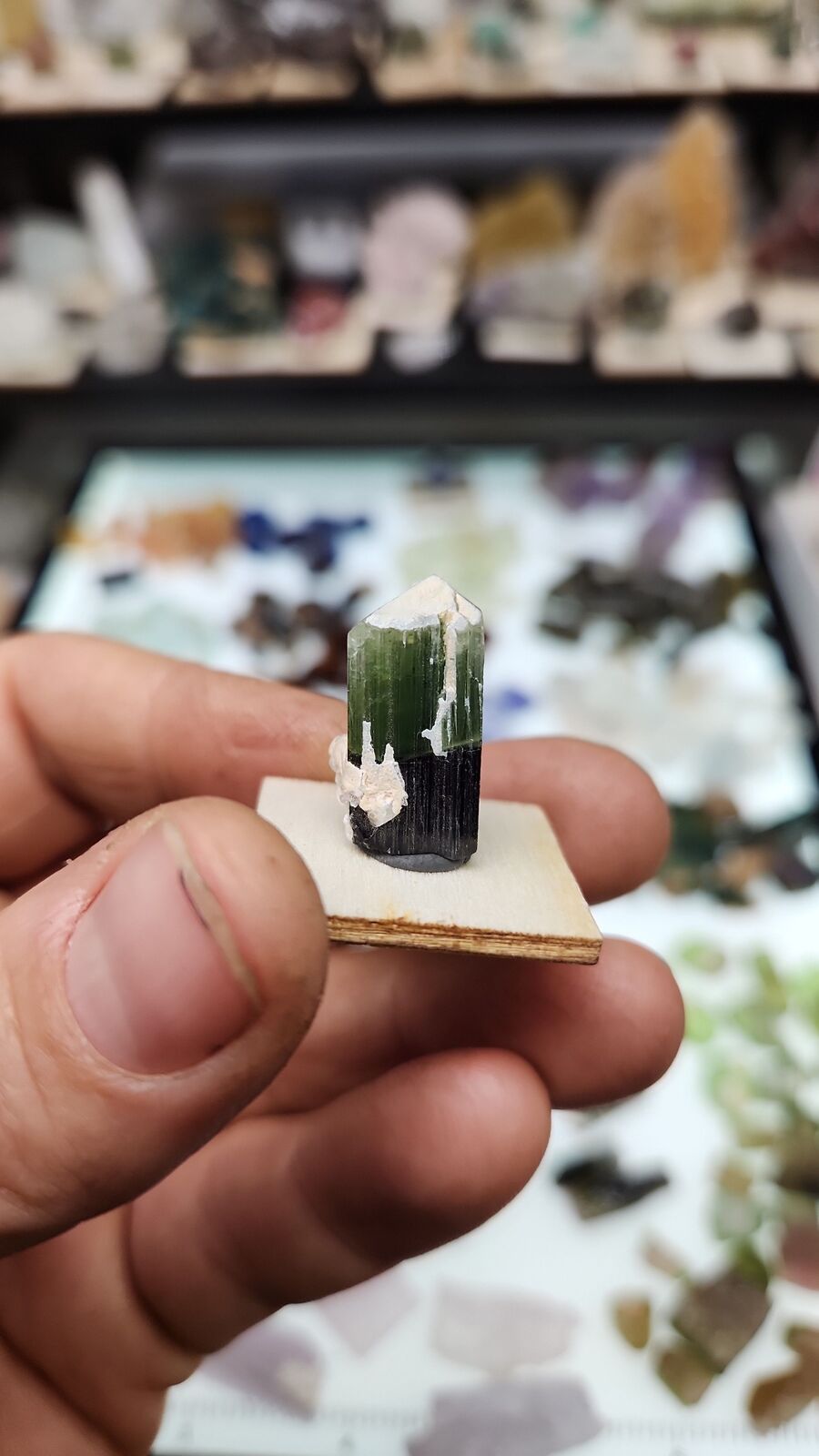 Stak Nala tourmaline #18