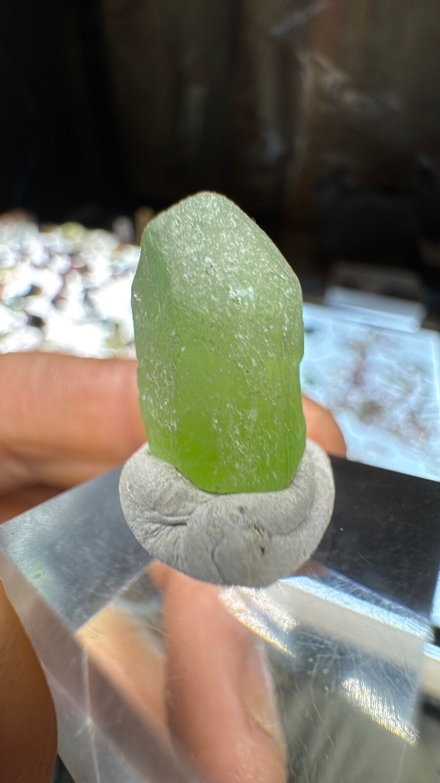 3.1g Peridot Crystal Terminated #26