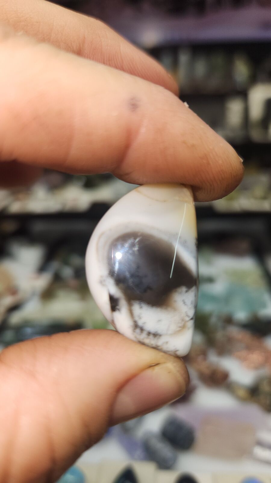 Dendritic Agate #192