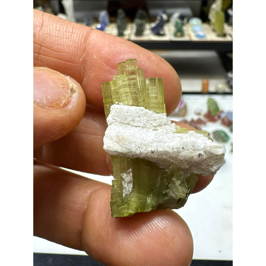 9.1 gram tourmaline terminated crystal cluster #244 from Pakistan