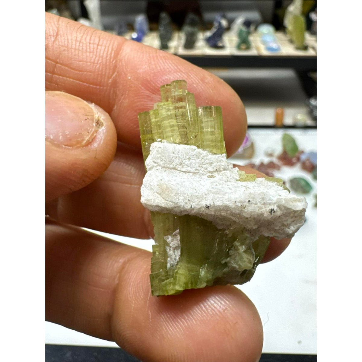 9.1 gram tourmaline terminated crystal cluster #244 from Pakistan