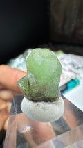5g Terminated Peridot Crystal 54