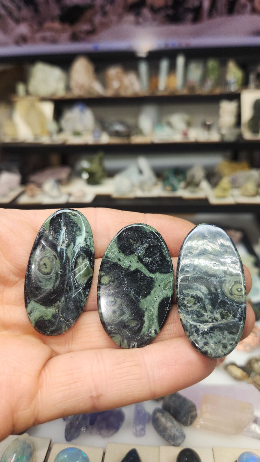 Kambaba Jasper #113