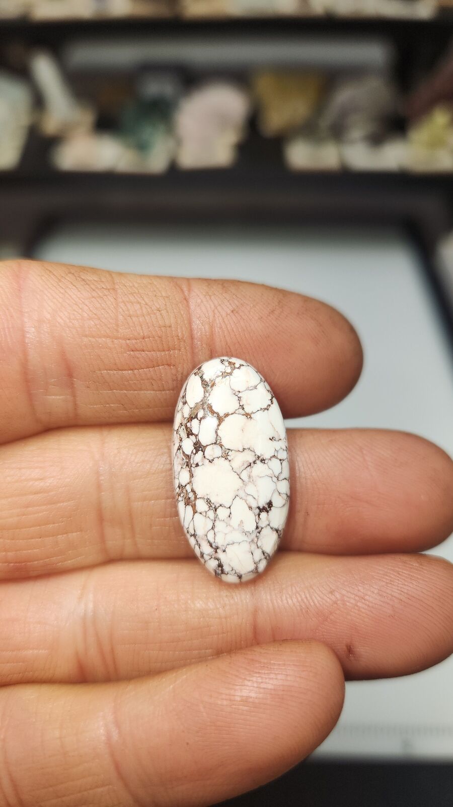 white horse turquoise # 208