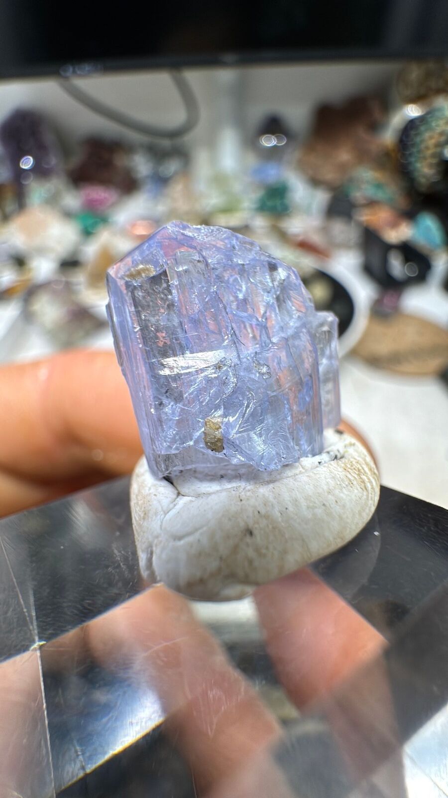 13ct Tanzanite Crystal #22