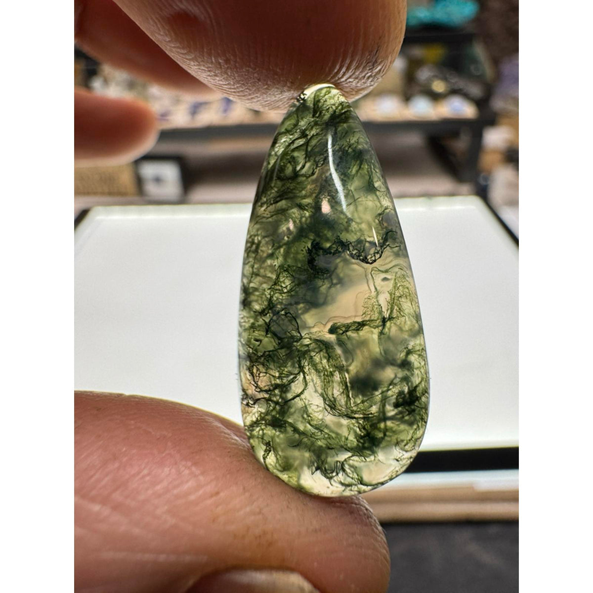 #224 3 Moss Agate Cabs - Natural Stone Jewelry Pieces for Crafting and Collecting