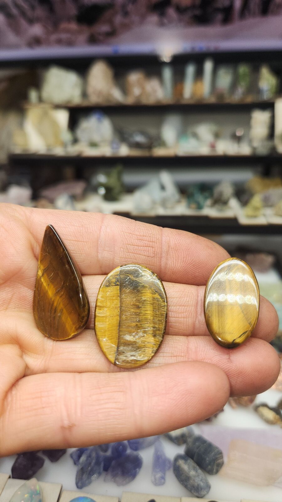 Tigers eye #98