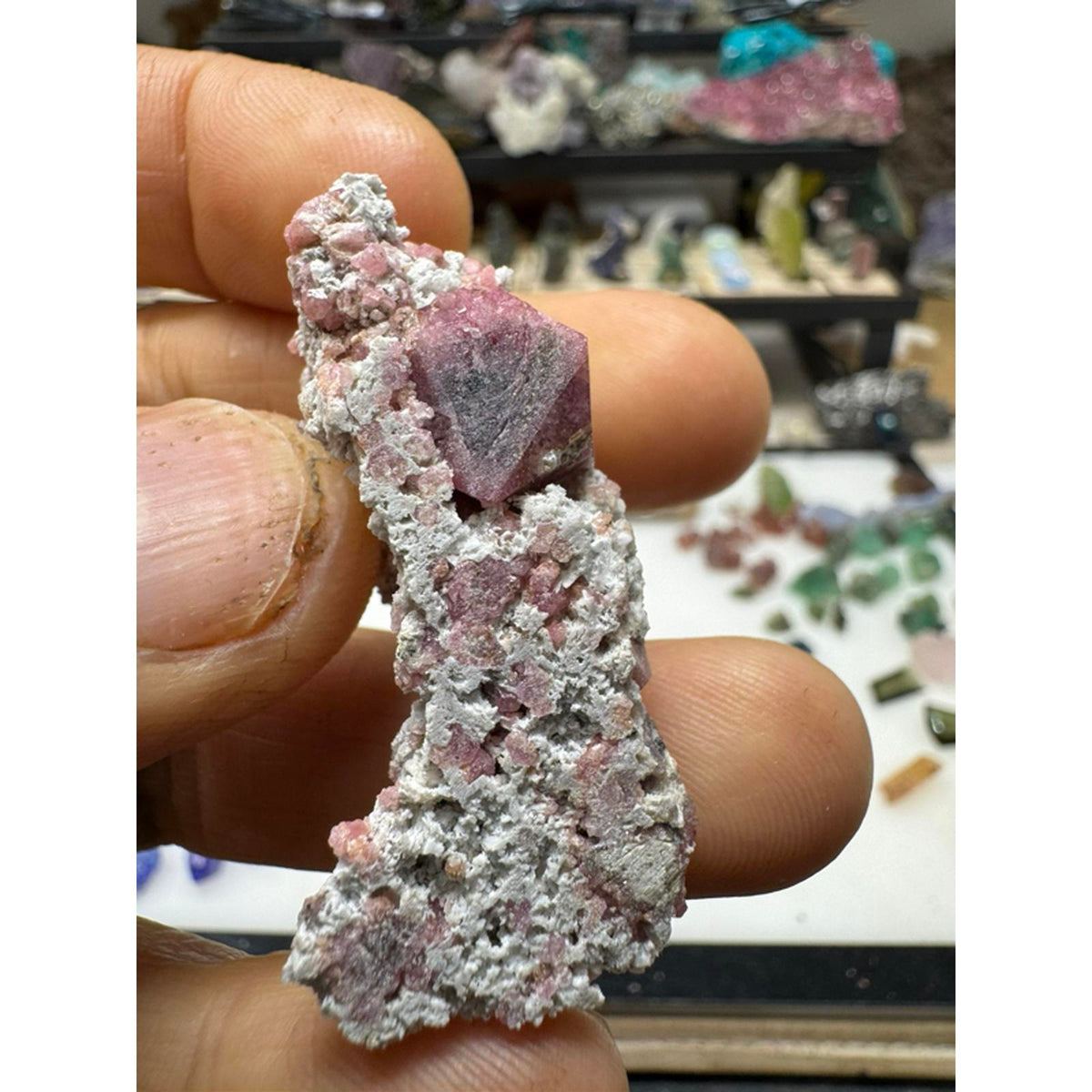Raspberry garnet specimen #227