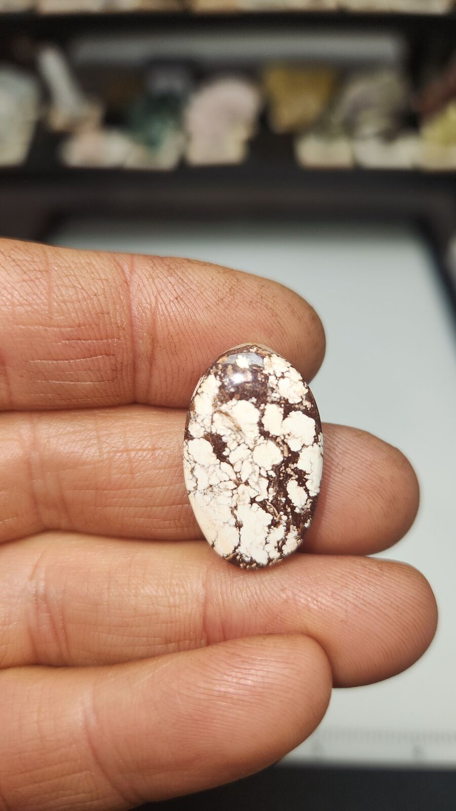 White horse turquoise #209