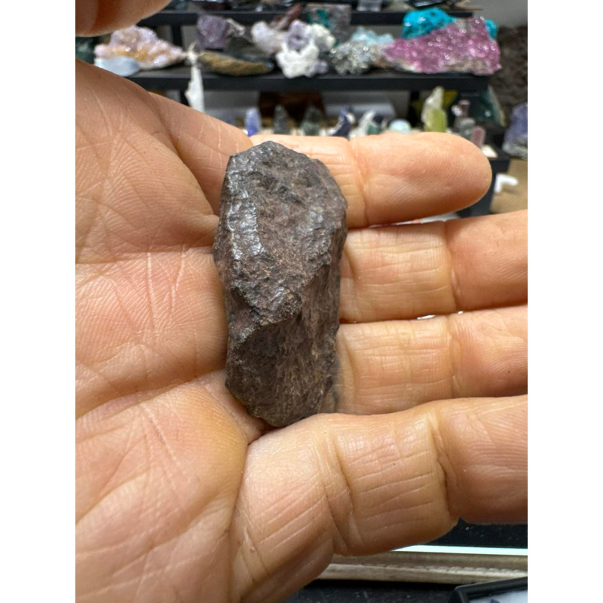 27 Gram Chondrite Meteorite Stony #261 from Morocco Authentic Space Rock for Collectors
