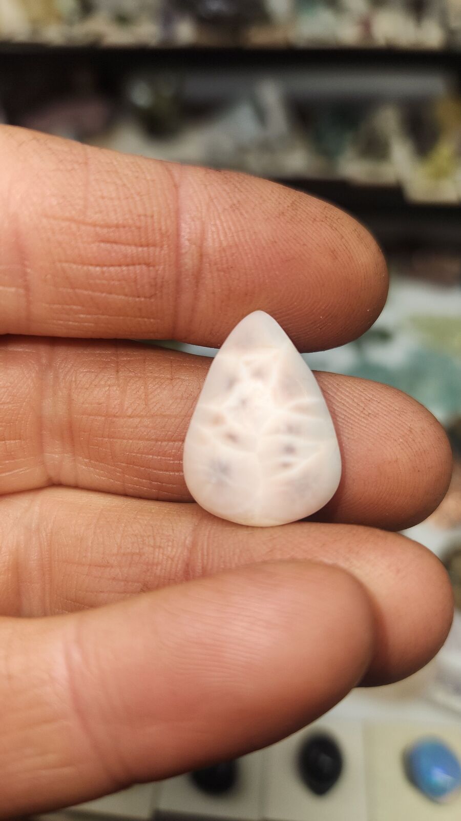 Naturalite #53
