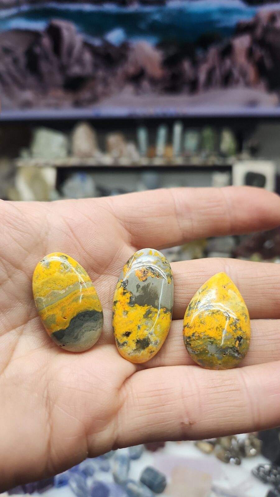 Bumblebee Jasper #201